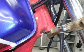 HONDA FTR223 2006 MC34