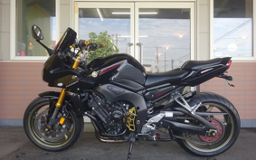 YAMAHA FZ1 FAZER 2009 RN17