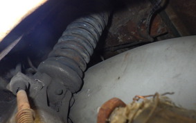 OTHER +RABBIT125 S301