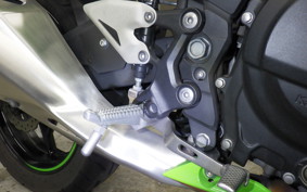 KAWASAKI NINJA 250 2 2024 EX250Y