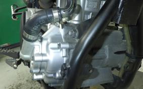 YAMAHA WR250X DG15J