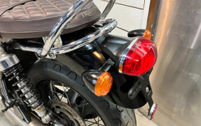 TRIUMPH BONNEVILLE T100 2021 DAD70G