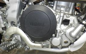 YAMAHA WR250R 2024 DG15J