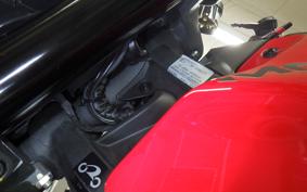 DUCATI MONSTER 937 + 2022
