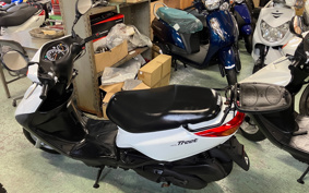 YAMAHA AKUSHI STREET SE53J