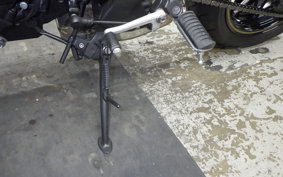 KAWASAKI Z900RS CAFE 2024 ZR900K