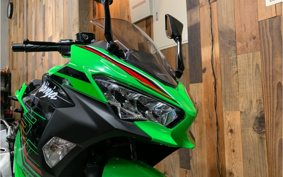 KAWASAKI NINJA 250 KRT ED EX250Y