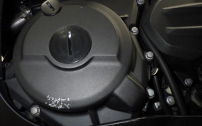 KAWASAKI NINJA 250 2 2019 EX250P