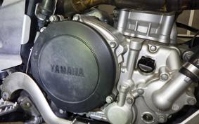 YAMAHA WR250X DG15J