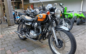 KAWASAKI W800 FINAL ED 2019 EJ800A