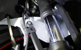 KAWASAKI ZX 1400 NINJA R A 2020