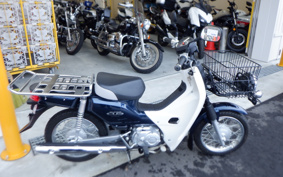 HONDA C50 SUPER CUB Pro AA04