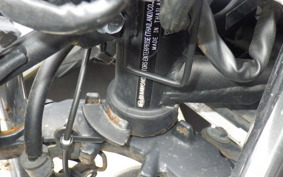 KAWASAKI NINJA 250 ABS EX250L