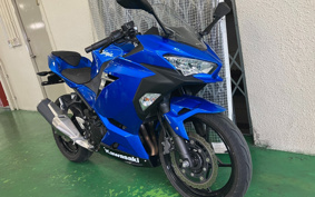 KAWASAKI NINJA 250 EX250P
