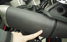 YAMAHA MT-25 A RG74J