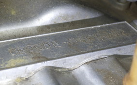 HONDA CB250 2023 CB250