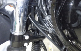 KAWASAKI W800 2024 EJ800E