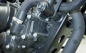 HONDA REBEL 250 A 2001 MC49