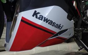 KAWASAKI ZX-25R ZX250E