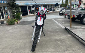 YAMAHA  SEROW 250 FINAL ED DG31J