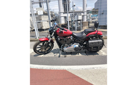 HARLEY HARLEY FLI HYDRA-GLIDE 2020 YHK