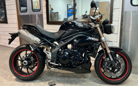 TRIUMPH SPEED TRIPLE 2013 TPN105