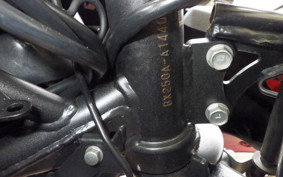 KAWASAKI NINJA 250 SL
