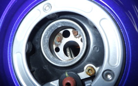 YAMAHA YZF-R25 2019 RG43J