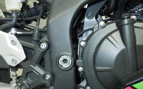 KAWASAKI ZX-25R 1981 ZX250E