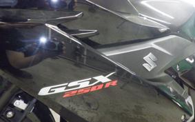 SUZUKI GSX250R 1996