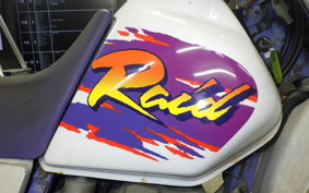 YAMAHA TT250R RAID 2024 4GY