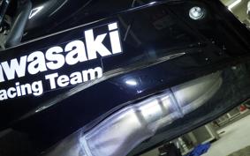 KAWASAKI NINJA 400 2019 EX400G