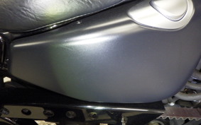 HARLEY XL883N 2015