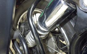 OTHER ENFIELD CLASSIC 350 2022
