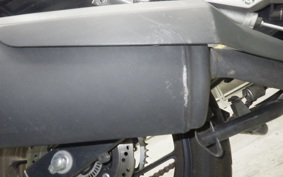 SUZUKI Vｽﾄﾛｰﾑ250A 2013