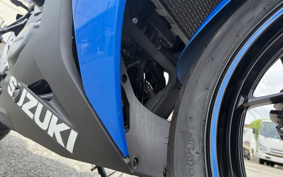 SUZUKI GSX250 R DN12B