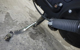 HARLEY XL883RI 2007
