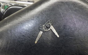 YAMAHA DRAGSTAR 250 2019 VG05J