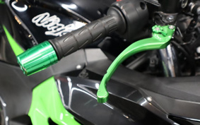 KAWASAKI NINJA 400 2019 EX400G