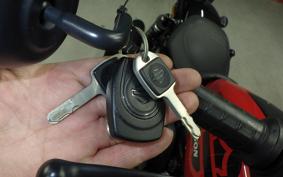 HARLEY RH975 2022