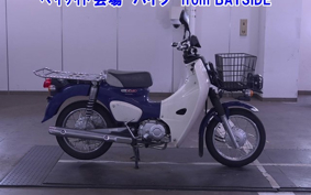 OTHER C110PU LOW 3