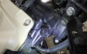 HONDA CT125 HUNTER CUB 2025 JA55