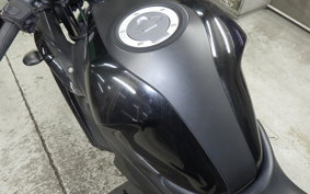 YAMAHA YZF-R25 2007 RG10J