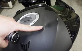 YAMAHA MT-25 A RG43J