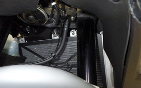 KAWASAKI ZX-4R SE 2025 ZX400P