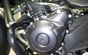 SUZUKI Vｽﾄﾛｰﾑ250A 2025