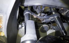 KAWASAKI NINJA 250 EX250L