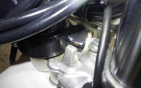 KAWASAKI SUPER SHERPA 2022 KL250G