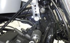 HARLEY XL883N 2013