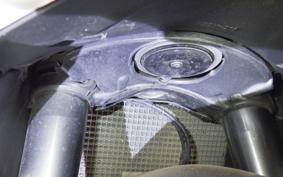 DUCATI PANIGALE V2 2020